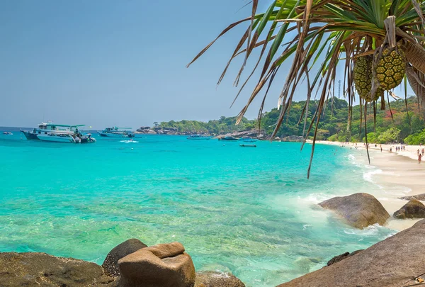 Strand von similan koh miang island — Stockfoto