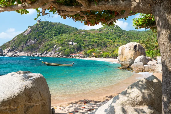 Isla de Koh Tao Tailandia — Foto de Stock