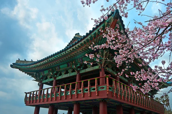 Buddhistischer Tempel in Jeju Korea — Stockfoto