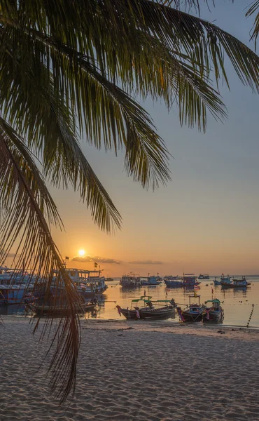 Coucher de soleil ciel, branche de palmier et bateaux — Photo