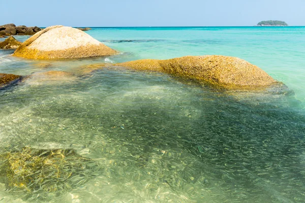 Peces tropicales y rocas en el agua — Foto de Stock