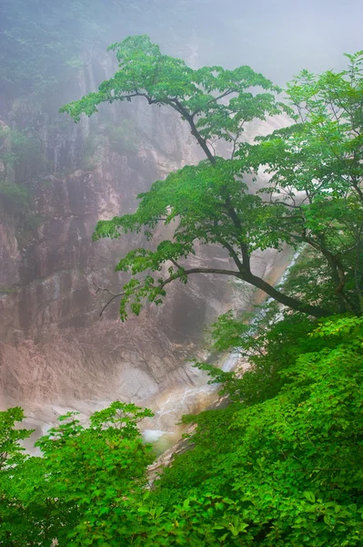 Cascada niebla montaña —  Fotos de Stock