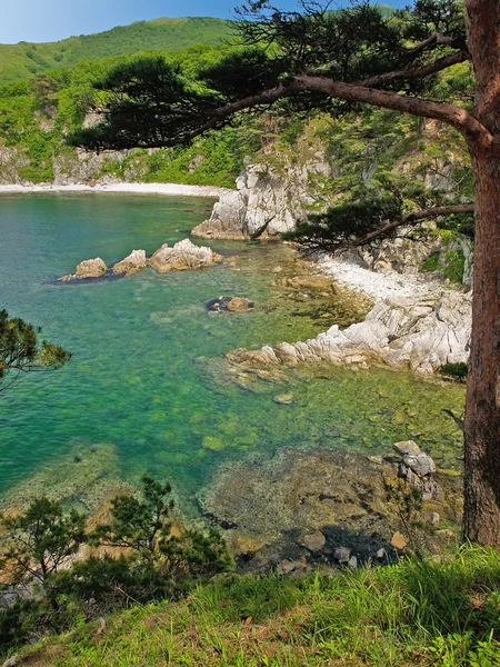 Морской пейзаж из российского заповедника — стоковое фото