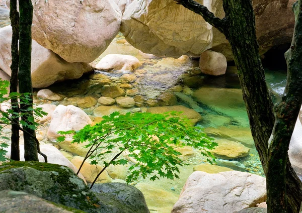 Parque Nacional Seoraksan, Coréia do Sul — Fotografia de Stock