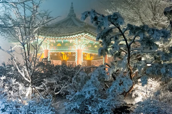 Seoul tower at winter night — Stock Photo, Image