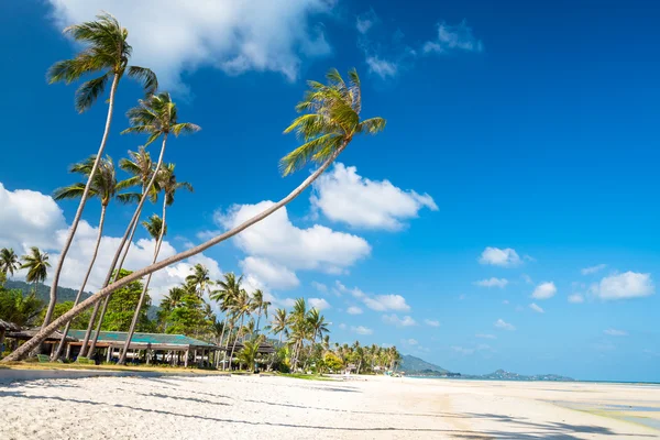 Vista a la playa en palmeras y cielo — Foto de Stock