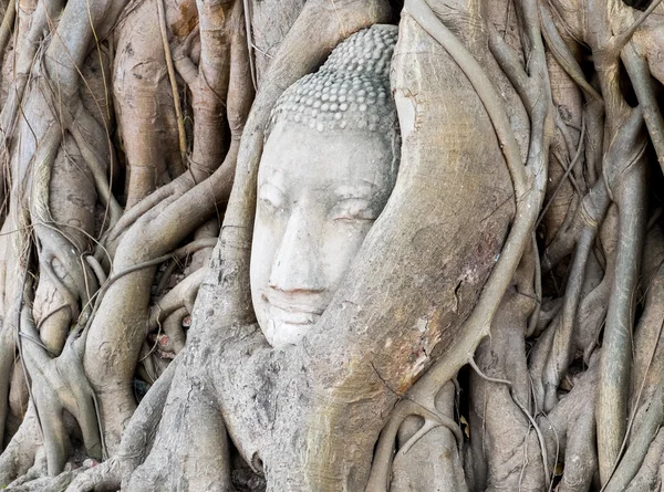 Kopf der Buddha-Statue — Stockfoto