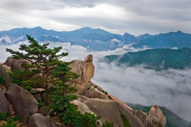 Taş Ulsanbawi kayaya asılı