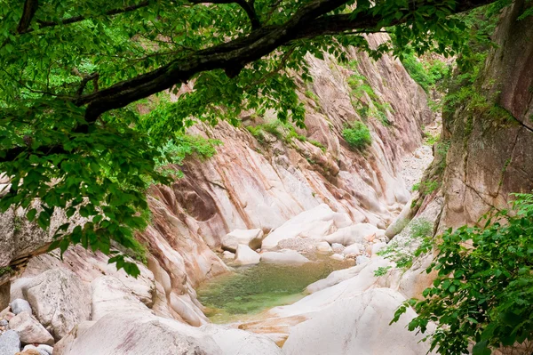 Seoraksan nasjonalpark, Sør-Korea – stockfoto