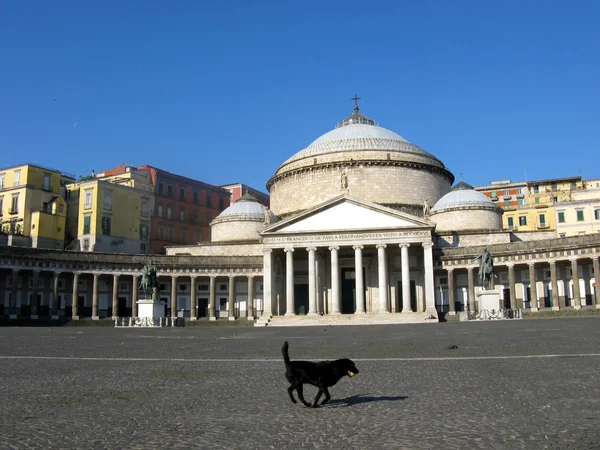 San Francesco di Paola church — Stock Photo, Image