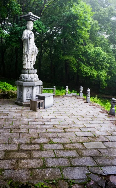 Buda no Templo Sinheungsa — Fotografia de Stock