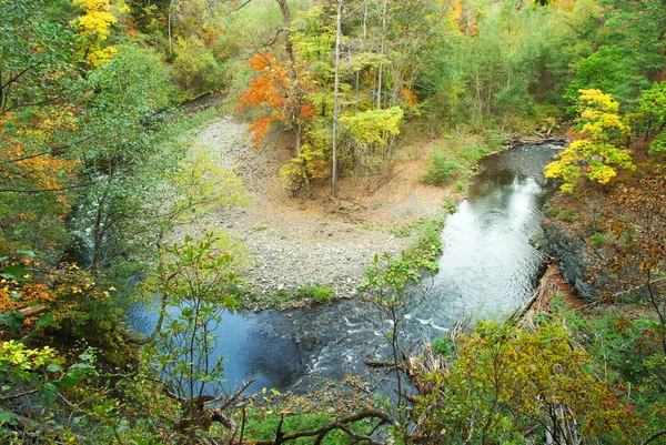 Beek in het groene bos — Stockfoto