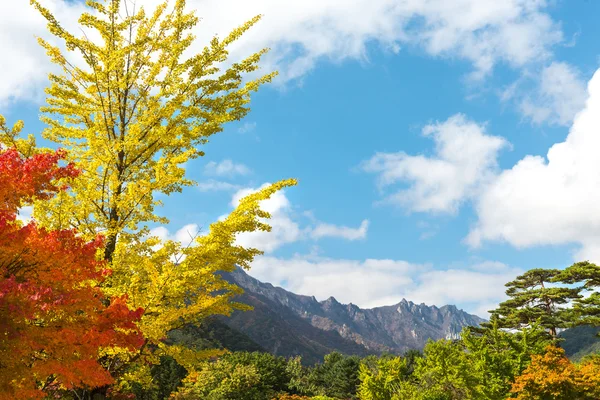 View landsaft from  Emperor Kyoungbok palace — Stock Photo, Image