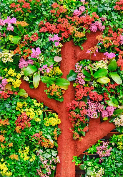Original Flower Bed — Stock Image Original Flower Bed Stock Picture