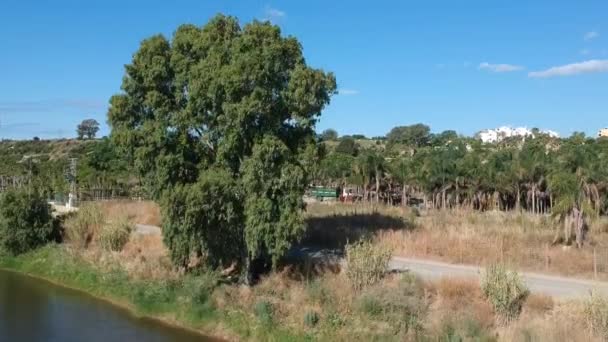 Cielo Azul Hermoso Natural Con Río Arroyo Que Fluye Ribera — Vídeos de Stock