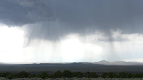 Tormenta Lluvia Del Desierto Nuevo México — Vídeo de stock