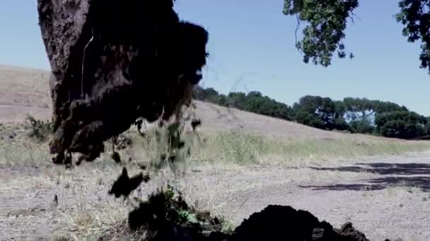 暑い日に漏水線を掘り起こすバックホウトラクター — ストック動画
