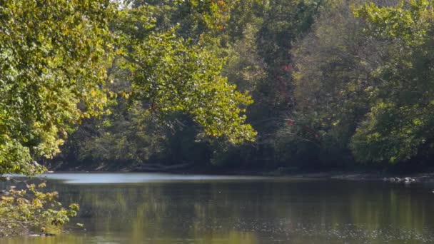 Rio Olentangy Ohio — Vídeo de Stock