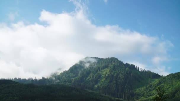 Timelapse Lasu Austrii Chmury Przechodzą Obok Wczesnym Rankiem — Wideo stockowe