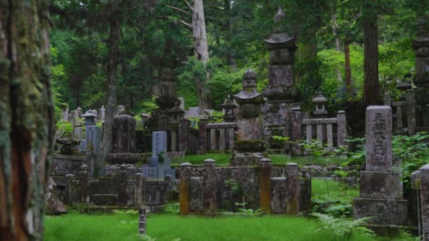 Japanse Begraafplaats Grafstenen — Stockvideo