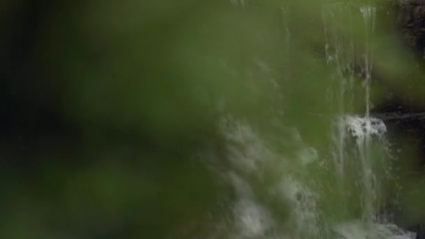 Revelando Uma Cachoeira Trás Arbusto Esquerda Para Direita Verão — Vídeo de Stock