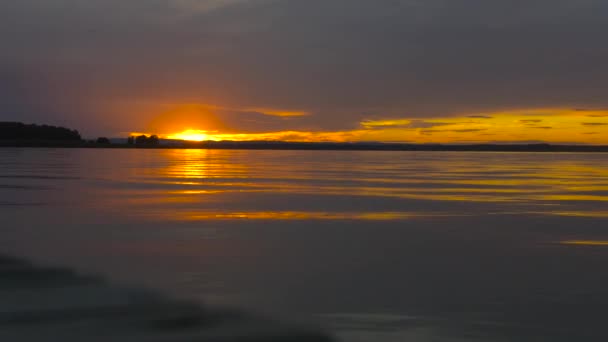 Sunset Lake Water Forest Horizon Sun — Stock Video