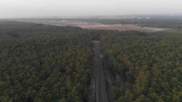 Vista Drone Uma Floresta Cortegaa Portugal — Vídeo de Stock