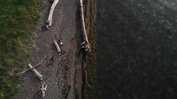 Denizin Sahilin Üzerinde Kameranın Yatay Hareketi Ile Drone Görüntüsü Var — Stok video