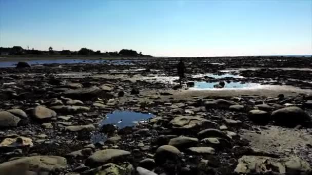 Drone Tiro Pasando Por Playa Hermoso Día Soleado Una Manera — Vídeo de stock
