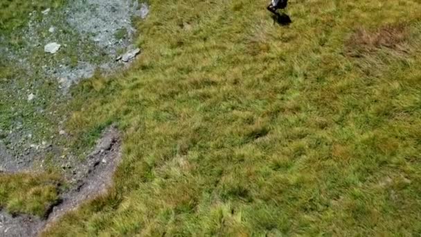 Luchtfoto Van Een Blonde Vrouw Wandelen Een Pad Zwitserse Alpen — Stockvideo