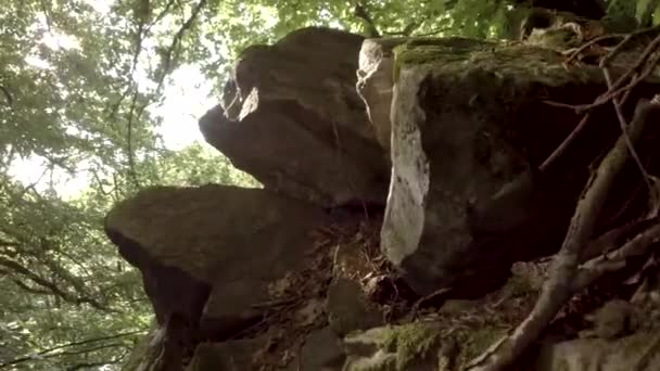 돌덩이의 — 비디오