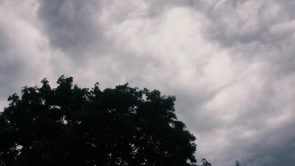 Peligroso Buscando Nubes Trueno Están Colgando Cielo Sobre Árbol — Vídeos de Stock