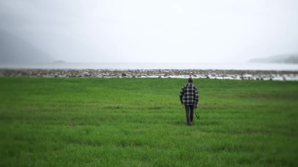 Hombre Caminando Por Hermoso Campo Hierba Noruega Europa — Vídeos de Stock