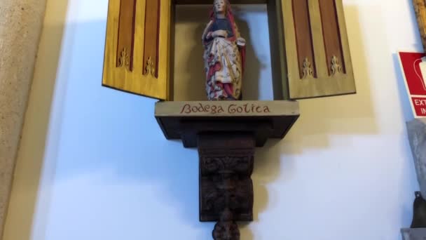 Bodega Gotica Είναι Μια Οικογενειακή Επιχείρηση Που Παράγει Σταφύλια Για — Αρχείο Βίντεο