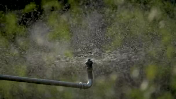 Aspersor Niebla Agua 180Fps Cámara Lenta — Vídeo de stock