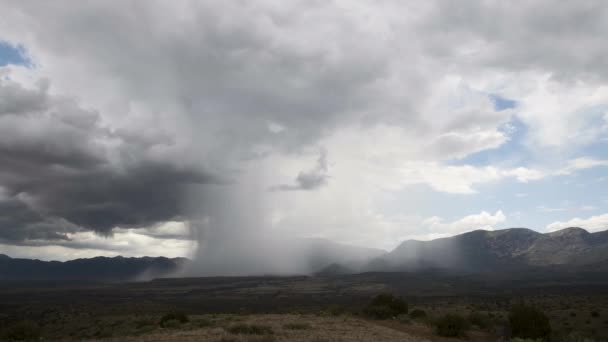 Regen Moesson Tijdsverloop Arizona — Stockvideo