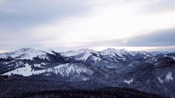 Arieal Voo Sobre Floresta Inverno Com Montanhas Fundo — Vídeo de Stock