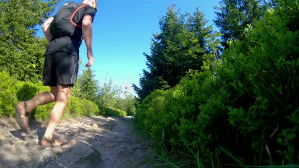 Slow Motion Trail Running National Park Orlick Hory — Stock Video