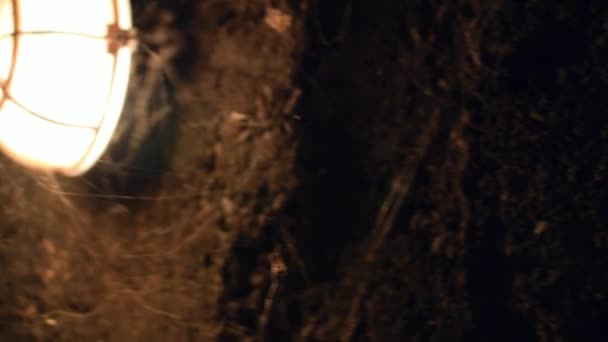 Örümcek Perdeli Mağara Lambasının Eğik Görüntüsü — Stok video