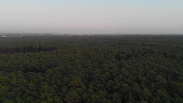 葡萄牙Cortegaa森林的Drone视图 — 图库视频影像