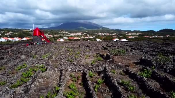 Aerial Shot Red Windmill Szőlőültetvények Emberek Megy Falu Felé Sao — Stock videók