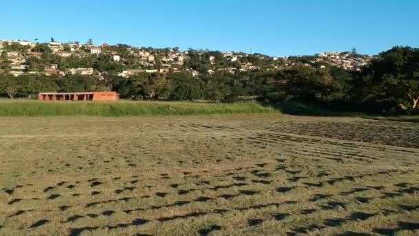 Filmagem Aérea Campo Grama Recém Cortado Campo Sul Africano Dia — Vídeo de Stock