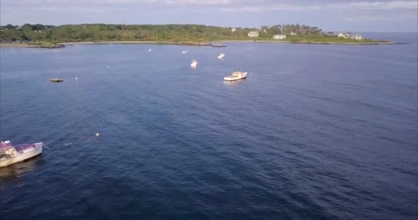 Flygfoto Som Flyger Över Kommersiella Fiskebåtar Och Hummerbåtar Blå Atlantiska — Stockvideo