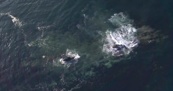 Disparo Aéreo Volando Sobre Las Ricas Olas Azules Del Océano — Vídeos de Stock
