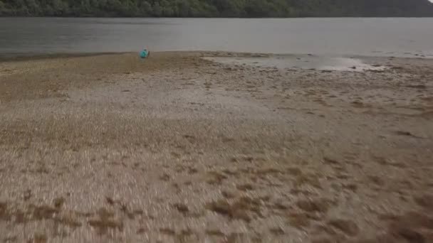 스코틀랜드 로치의 강변에서 동물의 사진을 암컷의 정찰기 — 비디오