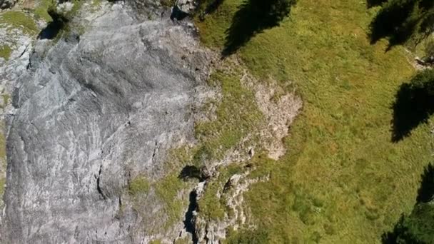 Aerial Shot Hiking Trail Swiss Alps — Stock Video