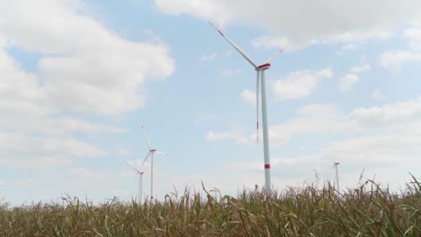 Windkraftanlage Auf Einem Feld — Stockvideo