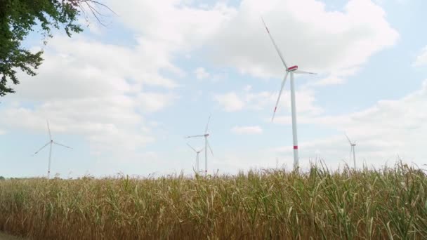 Windturbine Een Veld — Stockvideo