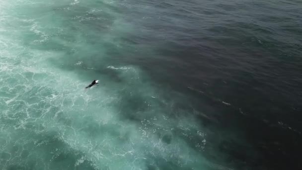 Portekiz Ericeira Açık Denizde Sörf Yapan Bir Sörfçü — Stok video