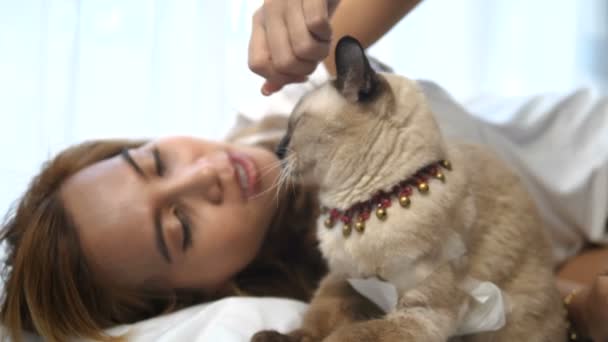 Mulher Asiática Feliz Deitada Cama Com Seus Lindos Gatos — Vídeo de Stock